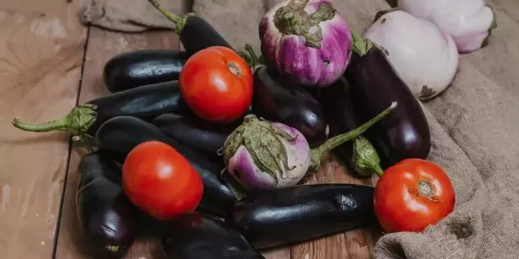 Makanan dan Minuman yang Memicu Terjadinya Penyakit Autoimun