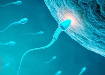 Bagaimana Ciri-Ciri Sperma Masuk Rahim? Ini Tandanya