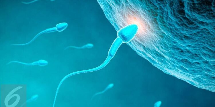 Bagaimana Ciri-Ciri Sperma Masuk Rahim? Ini Tandanya